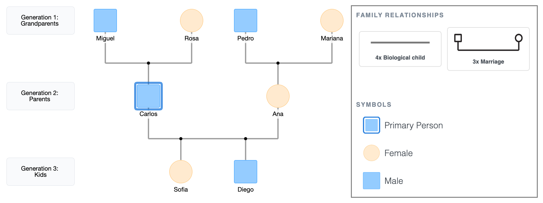 3-Generation Genogram Example: Basic Structure