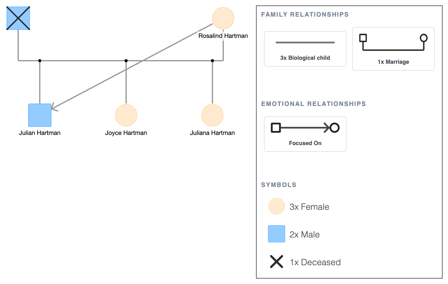 Focused On Symbol Example in a Genogram