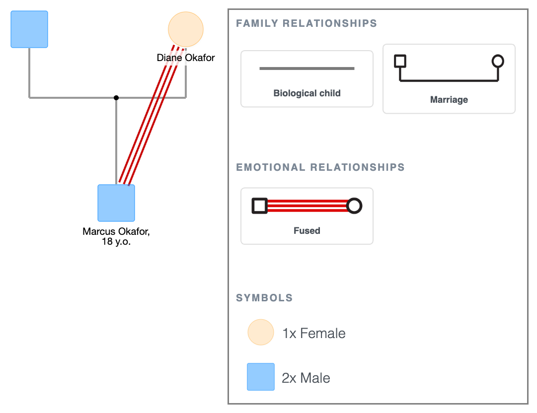Fused Symbol Example in a Genogram