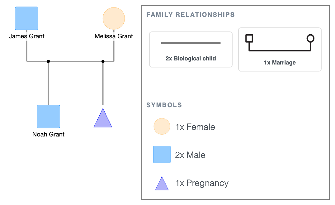 Pregnancy Symbol Example in a Genogram