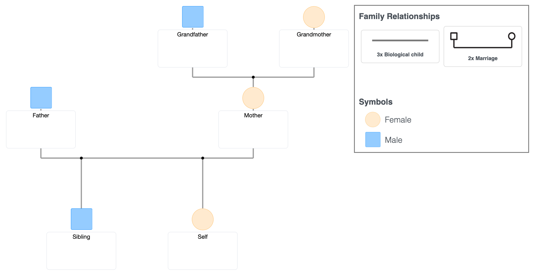 Student Assignment Genogram Template (PDF)
